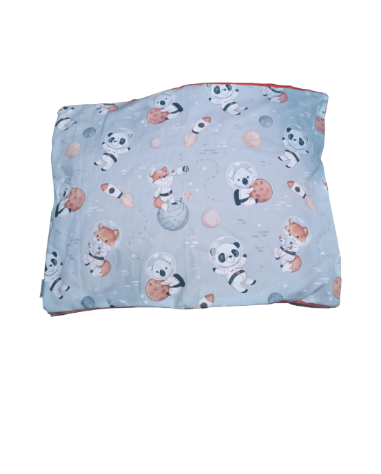 Poduszka premium pandy w kosmosie